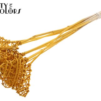 QC Rotan Lata Hart op stok | Kleur: Abrikooskleurig | Lata Heart platte Bijsteker | Lengte ± 50 centimeter | 10 bijstekers per bos