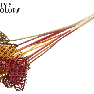 QC Cœur en rotin Lata sur tige “Pumpkin Spice” | Couleur : Couleurs Mélangées | Pique-plat Cœur Lata | Longueur ± 50 centimètres | 10 piques par bouquet