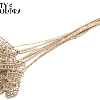 QC Rattan Lata Heart on stick | Colour: Natural White | Lata Heart flat plant stick | Length ± 50 centimetres | 10 plant sticks per bunch