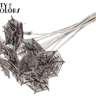 QC Rotin Lata horizontal Toile d'araignée sur bâton | Couleur : Champagne | Lata Toile d'araignée pique-plat | Longueur ± 50 centimètres | 10 piques par bouquet