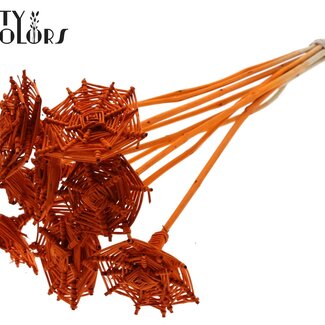 QC Rotan Lata horizontaal Spinnenweb op stok | Kleur: Oranje | Lata Spiderweb platte Bijsteker | Lengte ± 50 centimeter | 10 bijstekers per bos