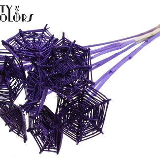 QC Rattan Lata Horizontal Spiderweb on Stick | Colour: Purple | Lata Spiderweb Flat Plant Stick | Length ± 50 centimetres | 10 plant sticks per bunch