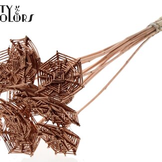 QC Rattan Lata horizontal Spiderweb on stick | Colour: Copper-coloured | Lata Spiderweb flat Plant Stake | Length ± 50 centimetres | 10 plant stakes per bunch