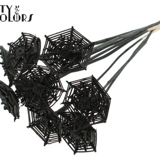 QC Rattan Lata Horizontal Spiderweb on Stick | Colour: Black | Lata Spiderweb Flat Plant Stake | Length ± 50 centimetres | 10 stakes per bunch