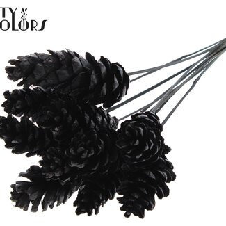 QC Strobus Dennenappel op stok | Kleur: Zwart | Dennenappel Bijsteker | Diameter 10 - 15 centimeter | Lengte ± 50 centimeter | 10 bijstekers per bos