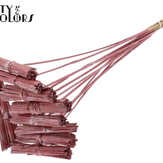 QC Kore Bouquet on Stick | Colour: Metallic Red | Bouquet Stick | Stick Length ± 50 centimetres | 10 sticks per bunch