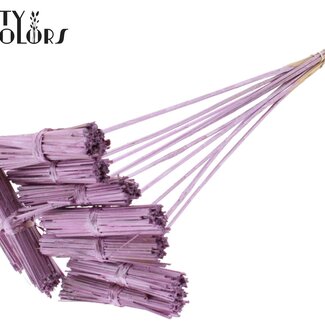 QC Kore Boeketje op stok | Kleur: Metallic Roze | Boeket Bijsteker | Lengte bijsteker ± 50 centimeter | 10 bijstekers per bos