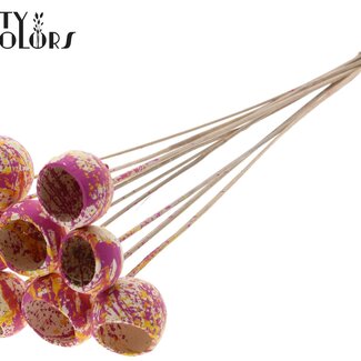 QC Bellgums séchés | Couleur : Multicolore Cerise Jaune | Bell Cup Pique-fleur | Longueur ± 50 centimètres | 10 piques-fleurs par bouquet