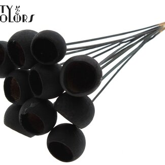 QC Getrocknete Bellgums | Farbe: Schwarz | Bell Cup Stecker | Länge ± 50 Zentimeter | 10 Stecker pro Bund