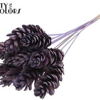 QC Strobus Pine Cone on Stick | Colour: Milka-coloured | Pine Cone Insert Stick | Diameter 10 - 15 centimetres | Length ± 50 centimetres | 10 insert sticks per bunch