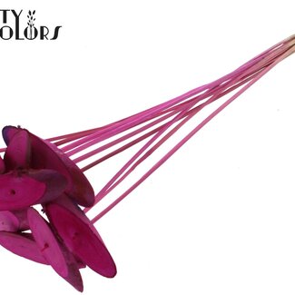 QC Disque en bois ovale sur bâton | Couleur : Lilas | Disque en bois pour décoration | Diamètre 5 - 7 centimètres | Longueur ± 50 centimètres | 10 décorations par bouquet