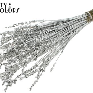 QC Getrockneter Lavendel | Farbe: Platinfarben | Lavendel Trockenblumen | Länge ± 50 Zentimeter | Pro Bund