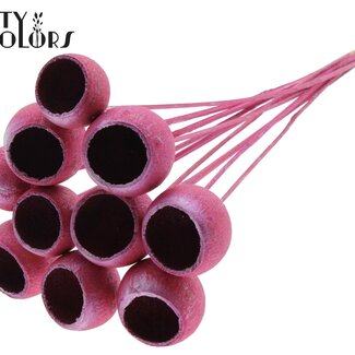 QC Gedroogde Bellgums | Kleur: Metallic Roze | Bell Cup Bijsteker | Lengte ± 50 centimeter | 10 bijstekers per bos