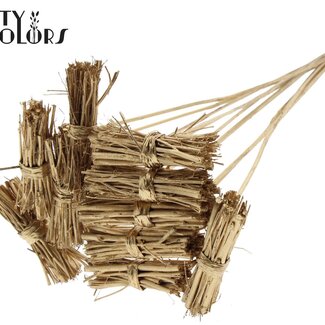 QC Lady Posy on a stick | Colour: Antique Gold | Lady Posy Plant Stake | Length ± 50 centimetres | 10 stakes per bunch