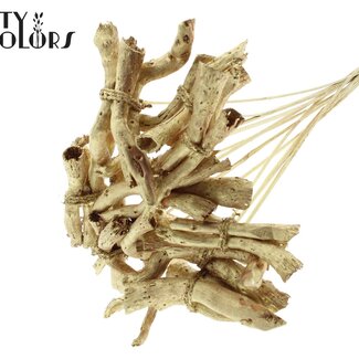 QC Gandiraj Twigs on Stick | Colour: Gold | Gandiraj Insert Stick | Length ± 50 centimetres | 10 insert sticks per bunch