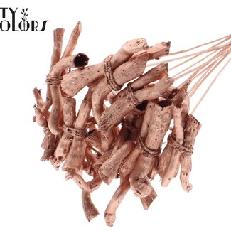 QC Gandiraj Branches on stick | Colour: Copper-coloured | Gandiraj Insert Stick | Length ± 50 centimetres | 10 insert sticks per bunch