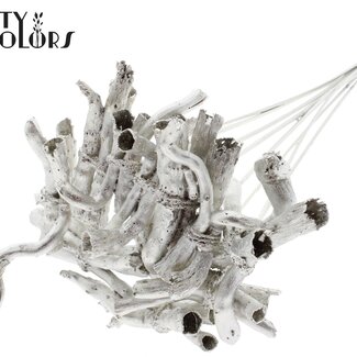 QC Gandiraj Schors auf Stiel | Farbe: Platinfarben | Gandiraj Einstecker | Länge ± 50 Zentimeter | 10 Einstecker pro Bund