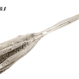 QC Babala aus Perlhirse | Farbe: Platinfarben | Länge ± 65 Zentimeter | 10 Stiele pro Bund