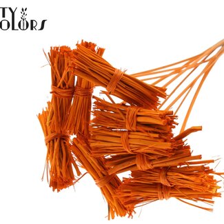 QC Lady Posy on stick | Colour: Orange | Lady Posy Insert Stick | Length ± 50 centimetres | 10 insert sticks per bunch