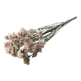 Dutch Dried Light Pink Statice Sinuata Dried Flowers | Length ± 70 centimetres | Weight ± 75 grams
