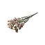 Statice Sinuata séchées rose clair | Longueur ± 70 centimètres | Poids ± 75 grammes