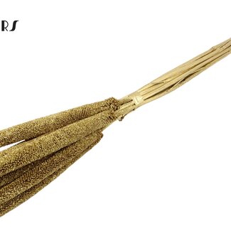 QC Babala de Millet perlé | Couleur : Doré avec paillettes | Longueur ± 65 centimètres | 10 tiges par bouquet