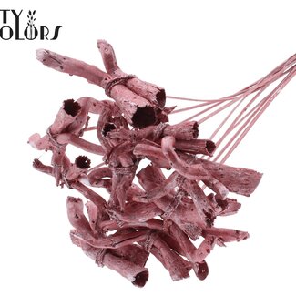 QC Gandiraj Schors op stok | Kleur: Metallic Rood | Gandiraj Bijsteker | Lengte ± 50 centimeter | 10 bijstekers per bos