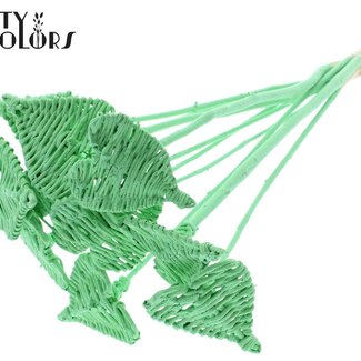 QC Rattan Lata Heart on stick | Colour: Mint Green | Lata Heart flat Plant Stake | Diameter 8 centimetres | Length ± 50 centimetres | 10 plant stakes per bunch