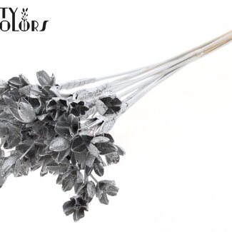 QC Bowls on Stick | Colour: Silver | Beech Nut Seed Pod Pick | Length ± 50 centimetres | 10 picks per bunch