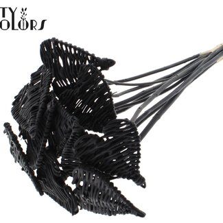 QC Cœur de rotin Lata sur tige | Couleur : Noir | Pique-plat Cœur Lata | Diamètre 8 centimètres | Longueur ± 50 centimètres | 10 piques par bouquet