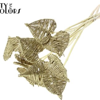 QC Cœur en rotin Lata sur tige | Couleur : Doré | Cœur Lata piquet plat | Diamètre 8 centimètres | Longueur ± 50 centimètres | 10 piquets par bouquet