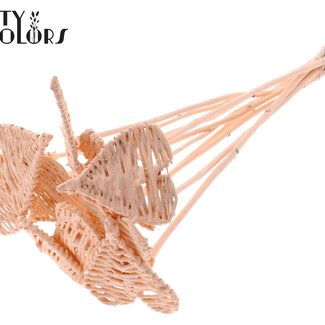 QC Rotan Lata Hart op stok | Kleur: Abrikooskleurig | Lata Heart platte Bijsteker | Diameter 8 centimeter | Lengte ± 50 centimeter | 10 bijstekers per bos
