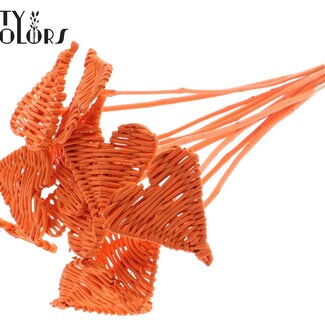 QC Rotan Lata Hart op stok | Kleur: Oranje | Lata Heart platte Bijsteker | Diameter 8 centimeter | Lengte ± 50 centimeter | 10 bijstekers per bos