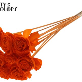 QC Shola Houten Dahlia op stok | Kleur: Oranje | Shola Dhaliya Bijsteker | Diameter bloem 6 centimeter | Lengte ± 50 centimeter | 10 bijstekers per bos