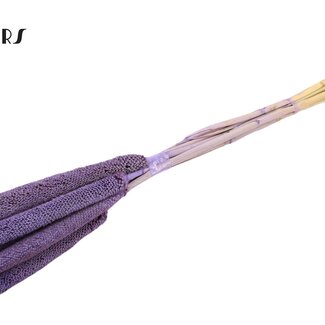 QC Babala von Perlhirse | Farbe: Frosted Milkapaars | Länge ± 65 Zentimeter | 10 Stiele pro Bund