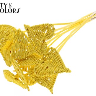 QC Rotin Lata Cœur sur tige | Couleur : Jaune | Lata Cœur piquet plat | Diamètre 8 centimètres | Longueur ± 50 centimètres | 10 piquets par bouquet