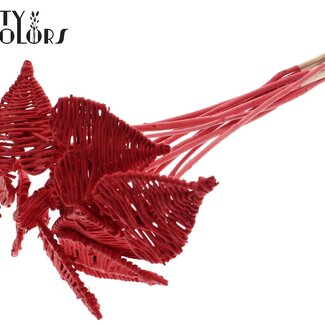 QC Rotan Lata Hart op stok | Kleur: Rood | Lata Heart platte Bijsteker | Diameter 8 centimeter | Lengte ± 50 centimeter | 10 bijstekers per bos