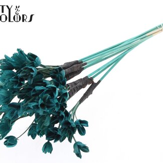 QC Bakuli am Stiel | Farbe: Türkis | Bucheckern Samenkapsel Einstecker | Länge ± 50 Zentimeter | 10 Einstecker pro Bund