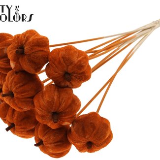 QC Velvet Pumpkin on Stick | Colour: Terracotta | Pumpkin Stick | Pumpkin Diameter 6 centimetres | Length ± 50 centimetres | 10 sticks per bunch