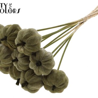 QC Velvet Pumpkin on Stick | Colour: Olive Green | Pumpkin Pick | Pumpkin Diameter 6 centimetres | Length ± 50 centimetres | 10 picks per bunch