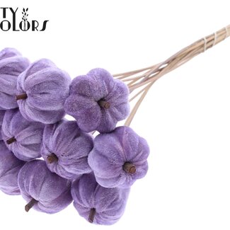QC Velvet Pumpkin on a stick | Colour: Milka Purple | Pumpkin Stick | Pumpkin diameter 6 centimetres | Length ± 50 centimetres | 10 sticks per bunch