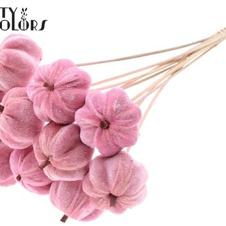 QC Velvet Pumpkin on a stick | Colour: Light Pink | Pumpkin Stake | Pumpkin diameter 6 centimetres | Length ± 50 centimetres | 10 stakes per bunch