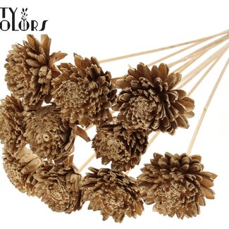 QC Shola Holz Zinnia auf Stiel | Farbe: Antik Goldfarben | Shola Zinia Steckstab | Blütendurchmesser 8 Zentimeter | Länge Steckstab ± 50 Zentimeter | 10 Steckstäbe pro Bund