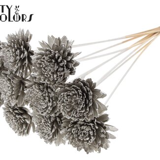 QC Shola Holz Zinnia auf Stiel | Farbe: Platinfarben | Shola Zinnia Steckstab | Blütendurchmesser 8 Zentimeter | Länge Steckstab ± 50 Zentimeter | 10 Steckstäbe pro Bund
