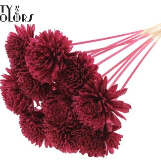 QC Shola Holz Zinnia auf Stiel | Farbe: Bordeauxrot | Shola Zinnia Steckstab | Durchmesser Blume 8 Zentimeter | Länge Steckstab ± 50 Zentimeter | 10 Steckstäbe pro Bund