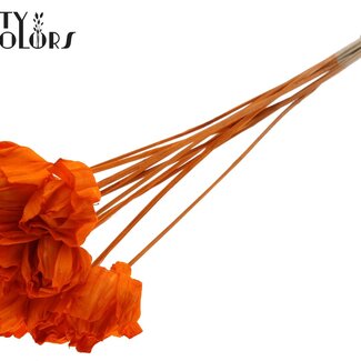 QC Shola Wooden Rose on Stick | Colour: Orange | Shola Dear Holly Stick | Rose Diameter 6 centimetres | Stick Length ± 50 centimetres | 10 sticks per bunch
