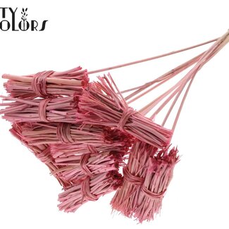 QC Lady Bouquet sur tige | Couleur : Rose clair givré | Lady Posy Piquet | Longueur ± 50 centimètres | 10 piquets par bouquet