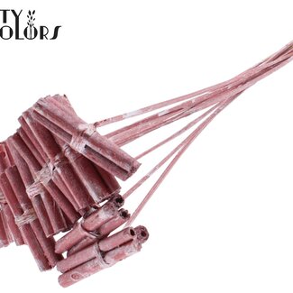 QC Bouquet de Bâtonnets en Jute Décoratifs sur bâton | Couleur : Rouge Métallique | Bâtonnet de Jute Posy Bijsteker | Longueur ± 50 centimètres | 10 bijstekers par bouquet