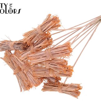 QC Lady Bouquet sur tige | Couleur : Saumon givré | Lady Posy Piquet | Longueur ± 50 centimètres | 10 piquets par bouquet