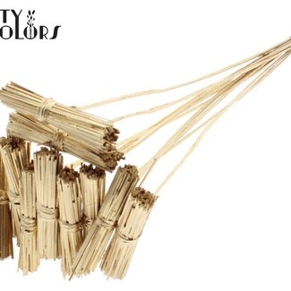 QC Kore Petit Bouquet sur tige | Couleur : Doré antique | Pique-fleurs | Longueur de la pique-fleurs ± 50 centimètres | 10 piques-fleurs par bouquet